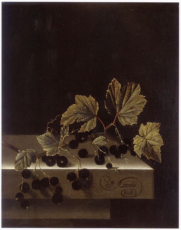 Black Currants | Adriaen Coorte | 1698 | huile sur papier marouflé sur bois | 29,5 x 22,7 cm |