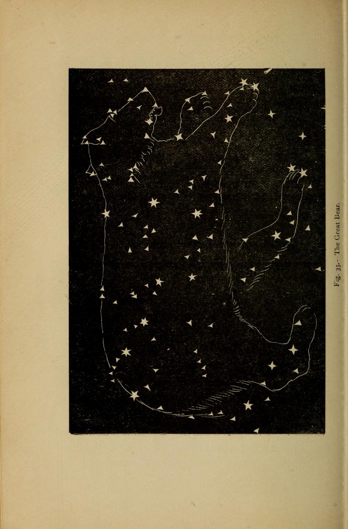 the great bear - Flowers of the sky -livre d'Astronomie - New York 1879