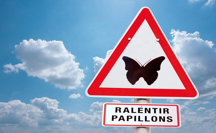 Minute Papillon !