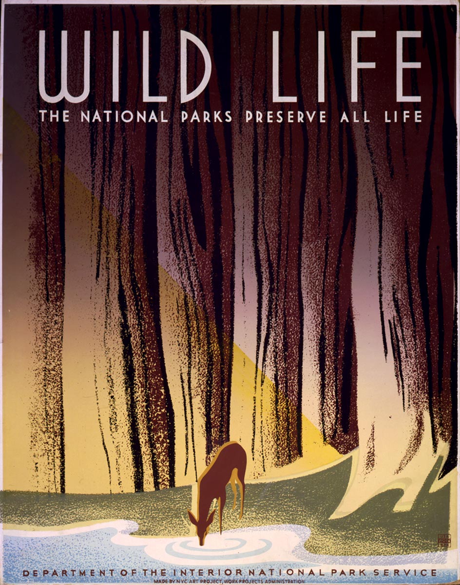 Affiche pour le National Park Service - 1936-1940